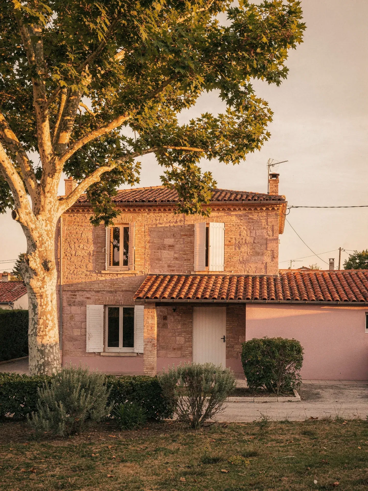 Pavillon résidentiel typique de Balma en briques toulousaines, jardin avec platane