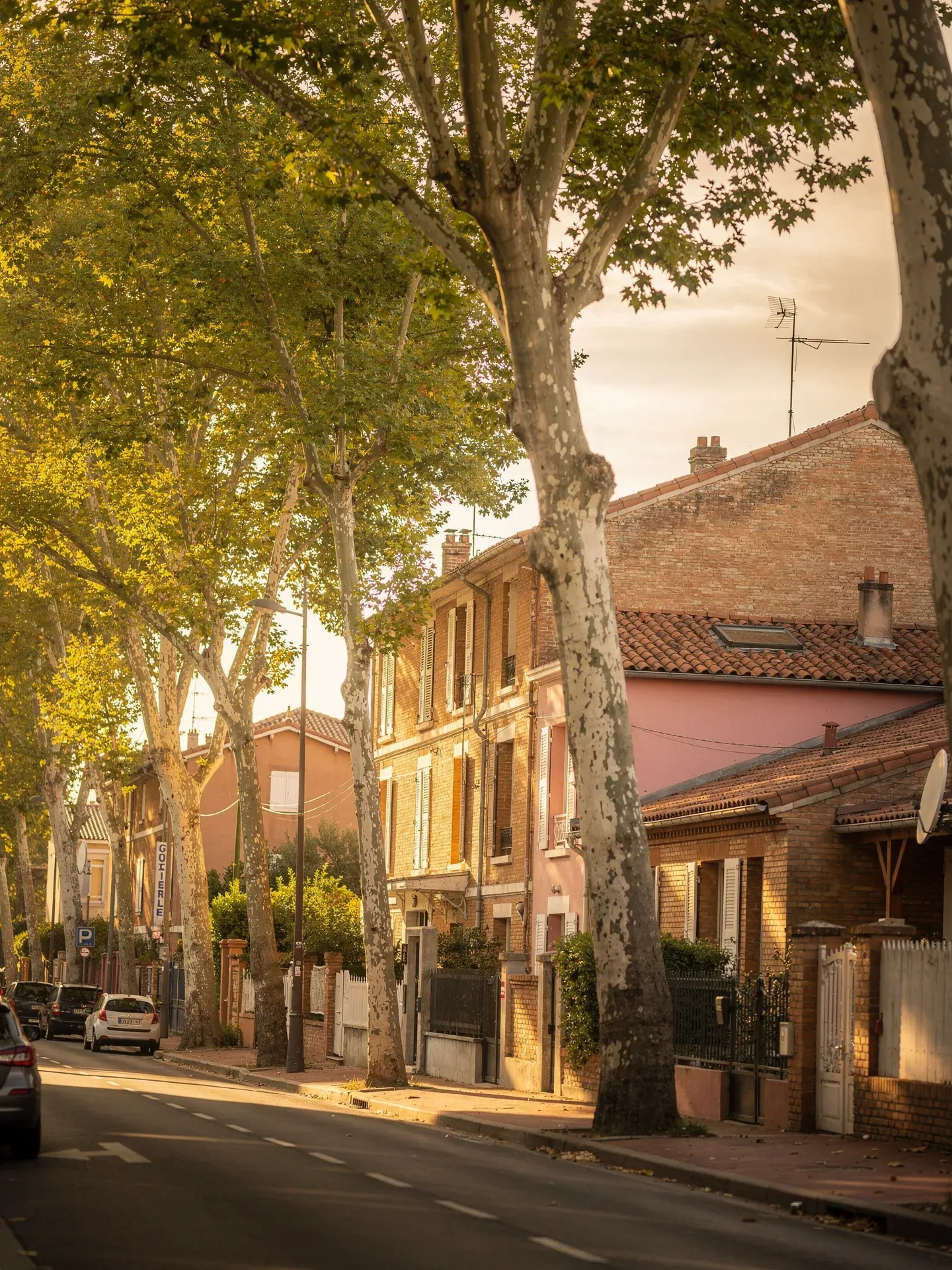 Rue arborée de Colomiers avec maisons traditionnelles en briques toulousaines